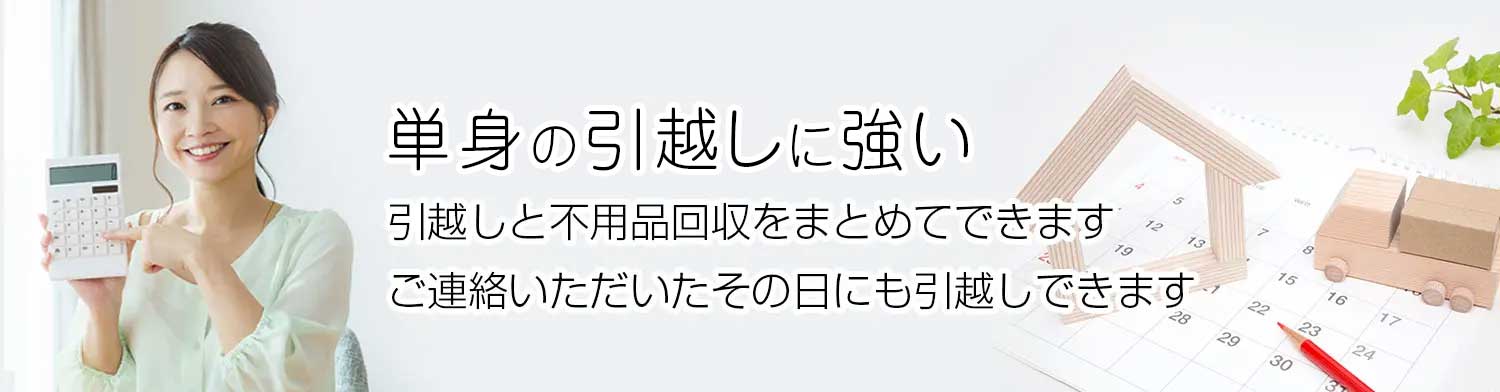 lptop-t
